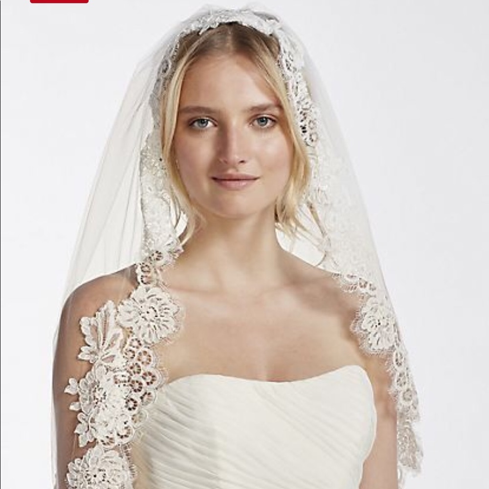 David’s Bridal mid veil with trailing lace